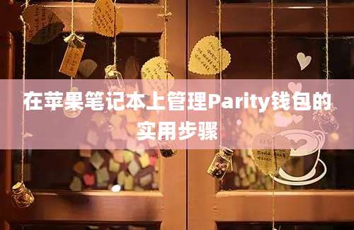 在苹果笔记本上管理Parity钱包的实用步骤