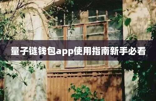 量子链钱包app使用指南新手必看