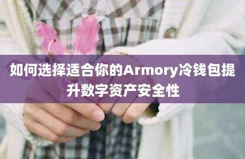 如何选择适合你的Armory冷钱包提升数字资产安全性